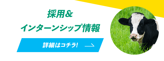 採用＆インターンシップ情報